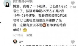 娱乐精神博主吃瓜,吃瓜博主带你领略明星幕后故事