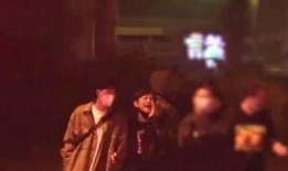 林尼兄妹视频爆料大全最新,视频大全背后的惊人真相